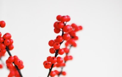 Distira Zumaiako Argazki Elkartea - kris-atomic-39874-unsplash-vpMhe2.jpg